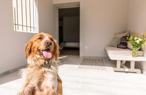 Ano Korakiana House | Luna Inn B&B