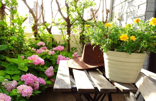 Zuoying District House | Luna's House