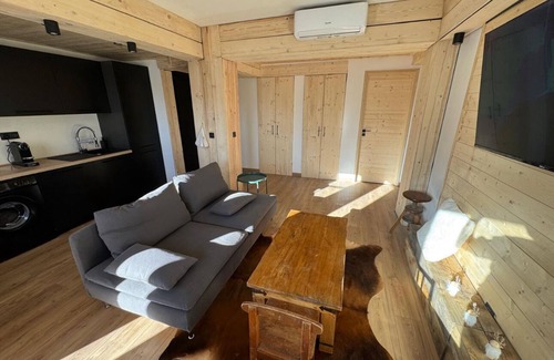 Saint-Etienne-de-Tinee Apartment | Luxurious 4-room chalet-style apartment. Cœur station d'Auron, 10 pers.