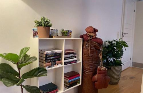 Copenhagen City Centre Apartment | Luxurious CPH flat Prime location