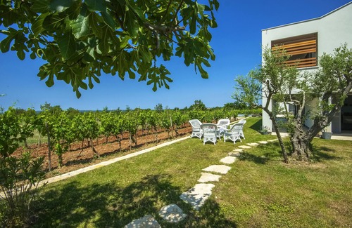 Butkovici Villa | Luxurious oasis, surrounded by olive groves, heated pool