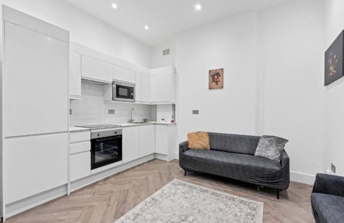 Herne Hill Apartment | Luxury apartment Tulse Hill