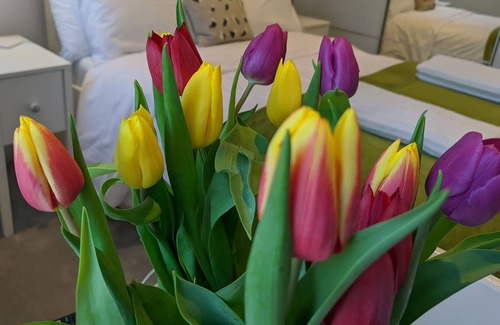 Welcombe Cottage | Luxury Farm Cottage on the stunning Atlantic Coast