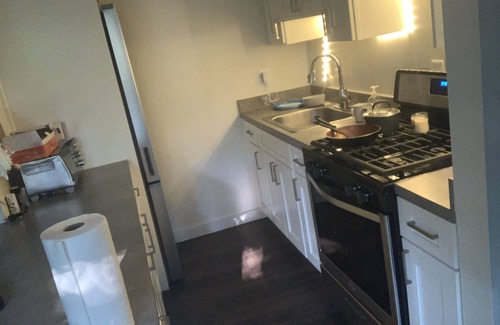 Mount Pleasant Condo | luxury fully renovated condo (events allowed