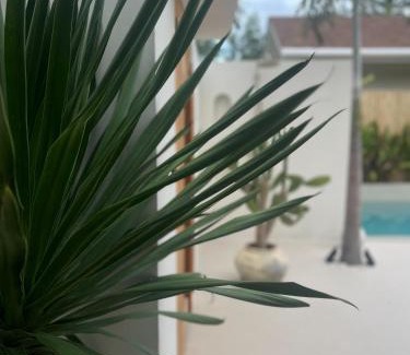 Ko Pha-ngan Villa | Luxury K Villas 3