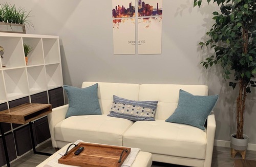 North Oak Park Apartment | Luxury loft on Broadway - C