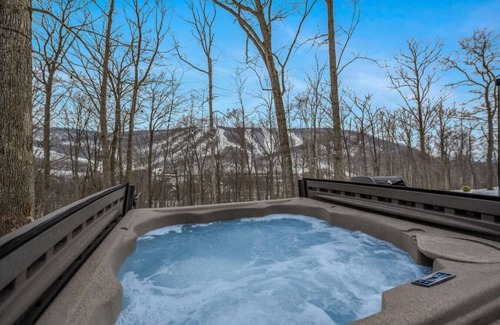 Mercersburg House | Luxury Mirror Cabin ~ Sauna/Hot Tub/Mountain Views