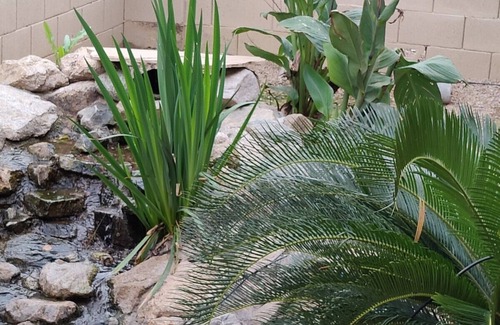 Dobbins Point House | Luxury oasis! Mins to highway and all stadiums