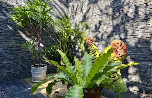 Choeng Thale Villa | Luxury Pool Villa Resort Style Near Laguna Area