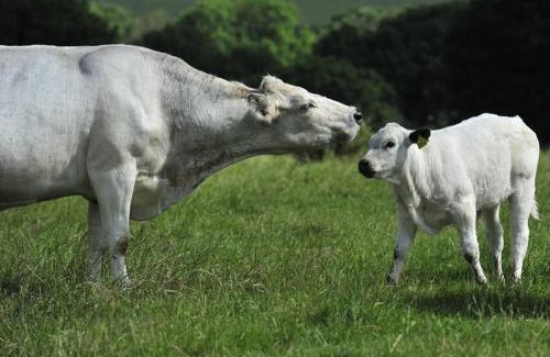 Barrow upon Trent House | Luxury private FARM BARN, Airport, NEC