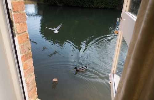 Oxford City Centre Apartment | Luxury Riverside Studio with Conservatory and Wharf in the centre of Oxford