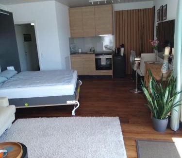 Mettauertal Apartment | Luxury Studio, Hillside View in Mettau,