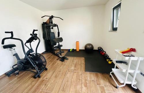 Sveta Nedelja Villa | Luxury Villa Callista near Labin with kids playground, fitness and heated pool