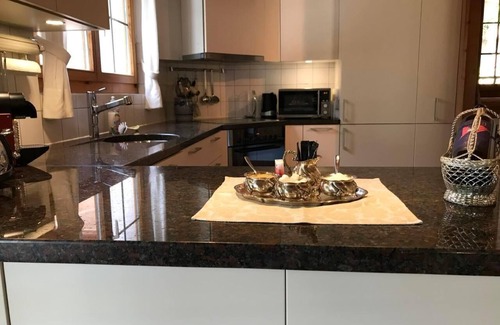 Magadino House | Luxury villa with a lake view