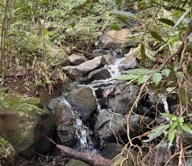 Dos de Mayo House | Luz de campo