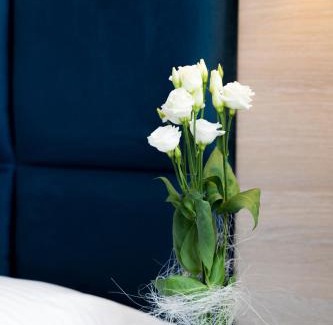 Ustrzyki Dolne Hotel | Lynks Resort
