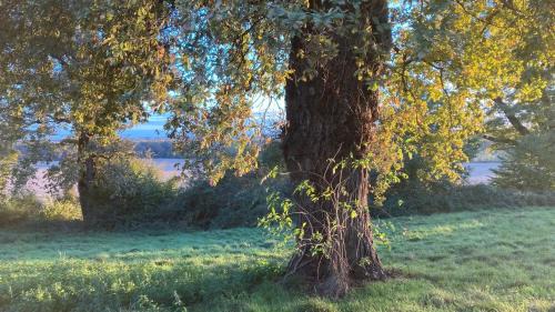 Cazaubon House | Métairie de Moutiques