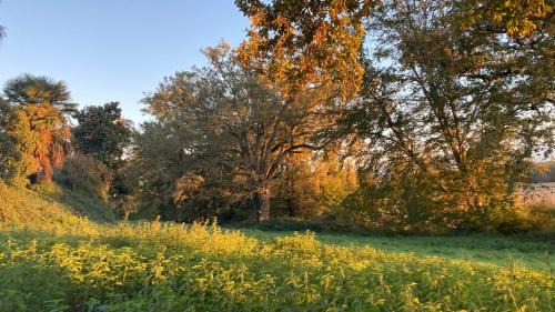 Cazaubon House | Métairie de Moutiques