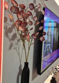 Ilisia Apartment | M&S Apartments Athens