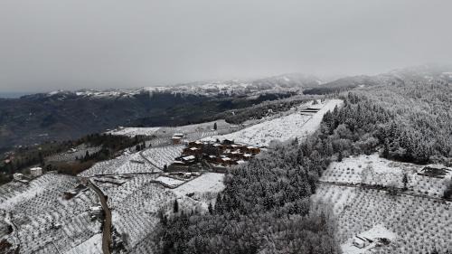 Trabzon Resort | Mağmat Resort & Bungalows