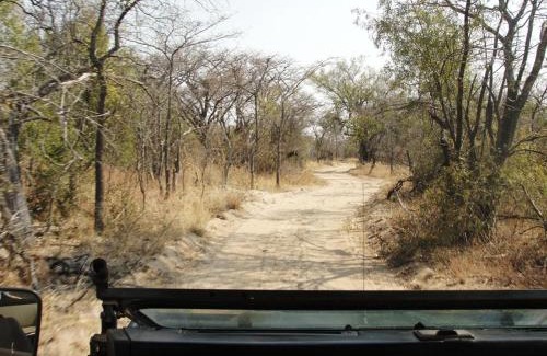 Tierpoort Apartment | Mabula Game Reserve