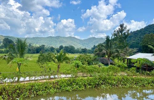 Mae Wang House | Maewin Farmer Homestay