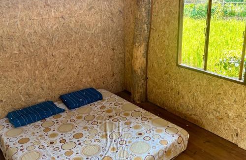 Mae Wang House | Maewin Farmer Homestay