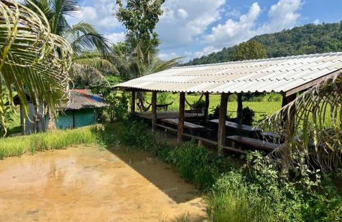 Mae Wang House | Maewin Farmer Homestay