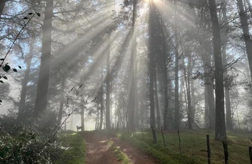 Hogsback House | Magical Forest Cottage Escape!