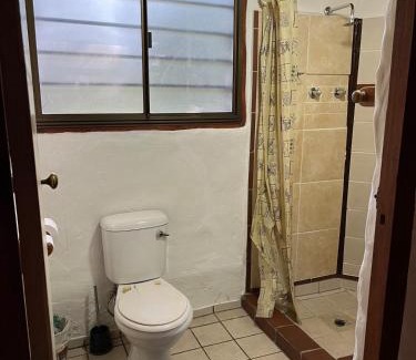 Hogsback House | Magical Forest Cottage Escape!