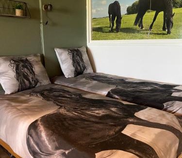 Sibrandabuorren Apartment | MagnaFrisia