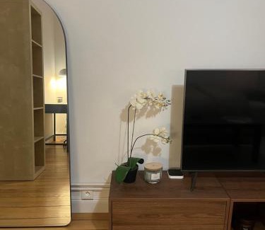 Krutenau Apartment | Magnifique & Cozy appartement au cœur de Strasbourg avec terrasse