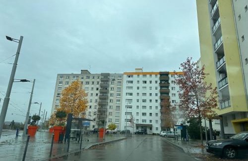 Bourgfelden Apartment | Magnifique studio avec Netflix