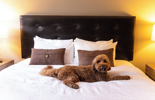 Downtown Omaha Hotel | Magnolia Hotel Omaha