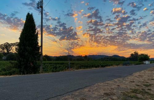 Healdsburg House | Magnolia Ranch Vineyards