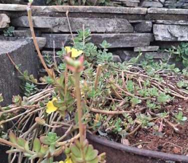 Sao Thome das Letras Apartment | Mahaidana Kitnet