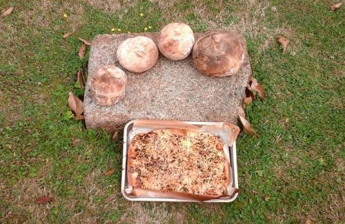 Passais-Villages House | Maison Ancienne Confortable, Calme avec Jardin Clôturé, Tout Inclus - FR-1-497-238