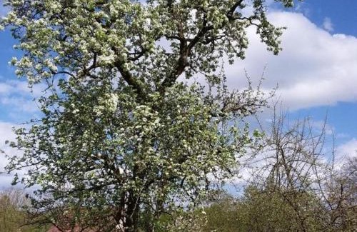 Champsecret House | Maison ancienne rénovée à Champsecret, animaux acceptés - FR-1-497-15