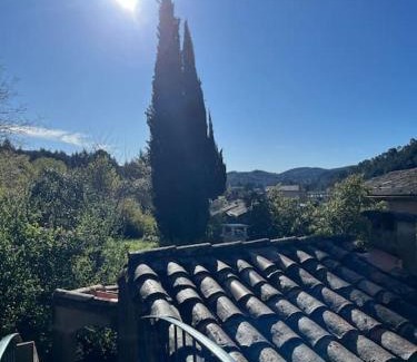 Lasalle House | Maison cévenole typique et son jardin suspendu