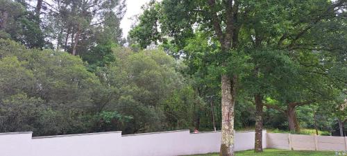 Mios Apartment | Maison d’hôte neuve : T2 pour 4 voyageurs