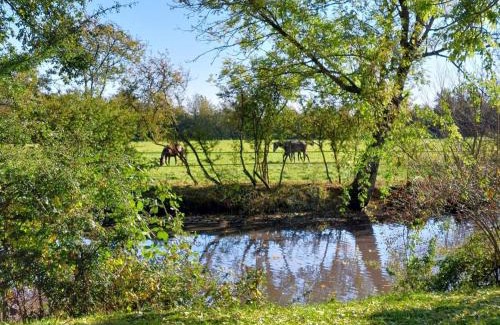 La Ferte-en-Ouche House | Maison de caractère restaurée avec animaux acceptés et WiFi dans un cadre équestre paisible - FR-1-497-239