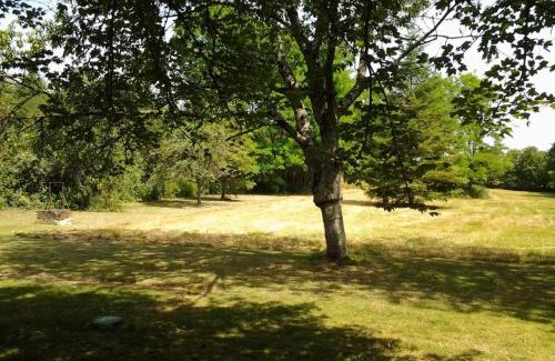 Cheille House | Maison de caractère XVIIIe avec jardin privatif près d'Azay-le-Rideau, idéale pour randonnées et famille - FR-1-381-20