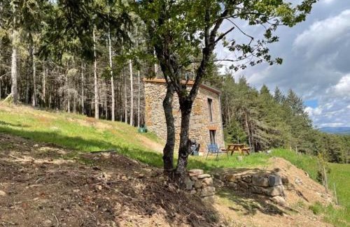 Langeac House | Maison de vigne rénovée à Langeac, nature et randonnées - FR-1-582-86