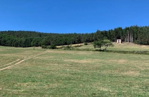 Langeac House | Maison de vigne rénovée à Langeac, nature et randonnées - FR-1-582-86