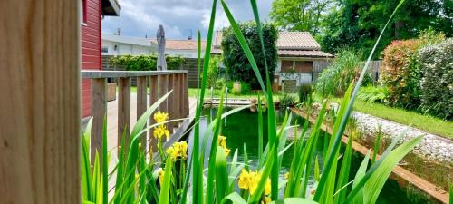 Gujan-Mestras House | Maison du sentier du littoral