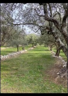 Mons House | Maison en pierres rénovée MONS 83