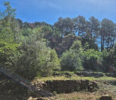 Saint-Martin-de-Valgalgues House | maison neuve en plein coeur des cevennes
