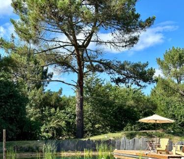 Onesse-et-Laharie Bed & Breakfast | Maison Magnolia