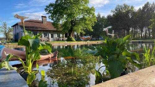 Onesse-et-Laharie Bed & Breakfast | Maison Magnolia