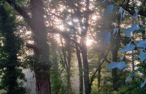 Loupes House | Maison Mandavi, studio d'hôtes dans l'Entre deux mers